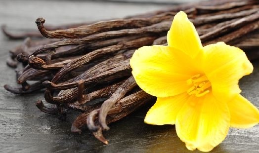 Huile essentielle de Vanille — Douceur et Réconfort
